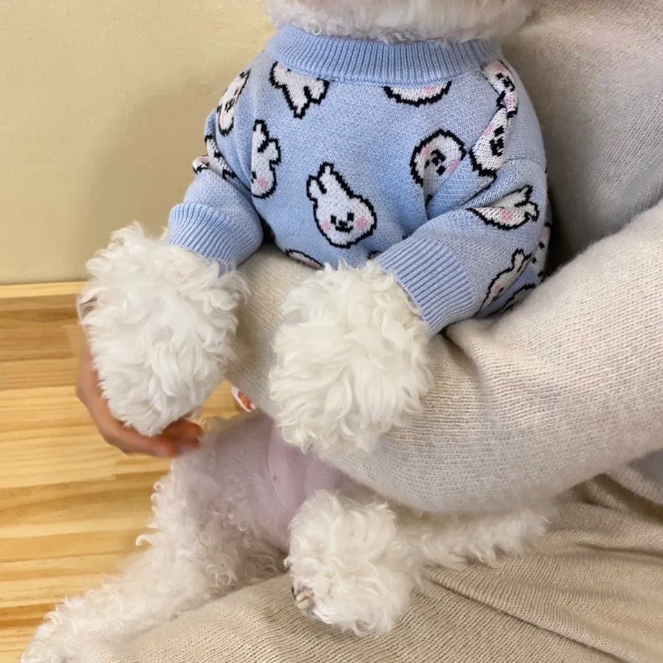 Small dog wearing a casual knit sweater in Beige Bear colour on beige background