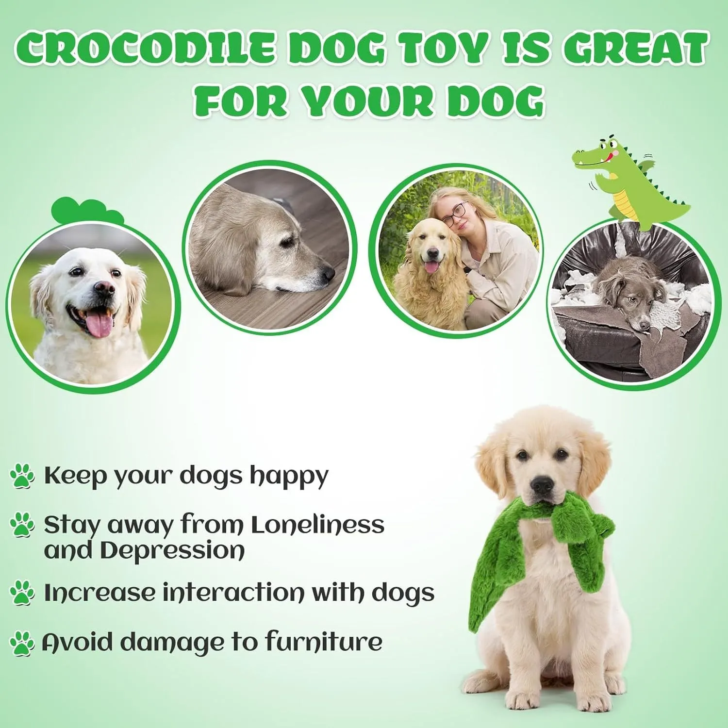 Dark green plush crocodile dog toy with no stuffing, squeaker, and crinkle paper