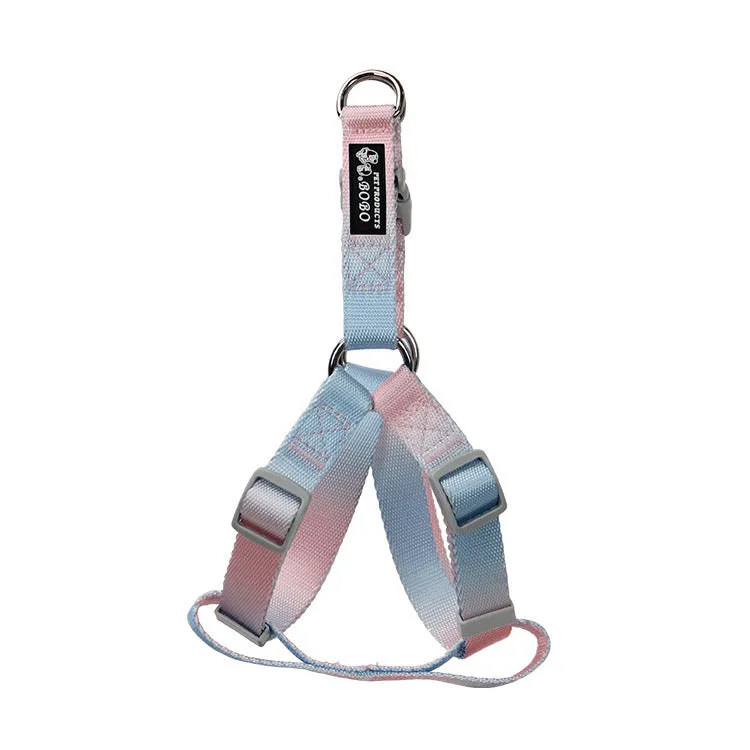 Nylon dog leash set showing gradient colour options including pink blue, yellow blue, pink yellow, and purple green combinations
