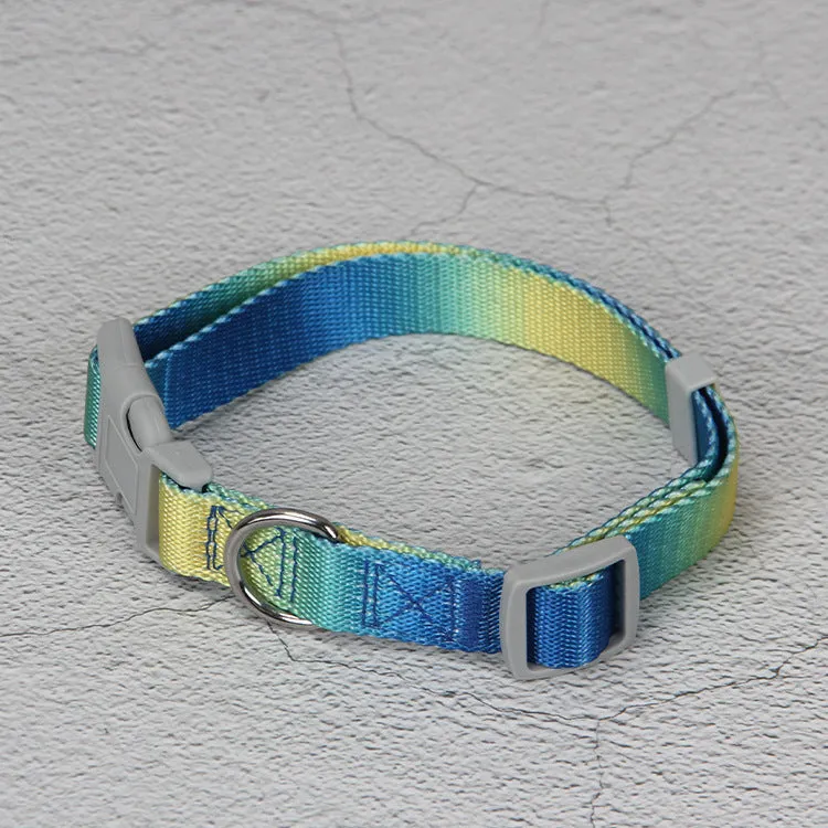 Nylon dog leash set showing gradient colour options including pink blue, yellow blue, pink yellow, and purple green combinations