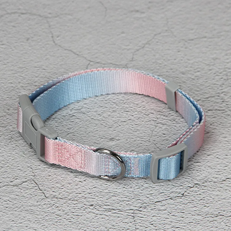Nylon dog leash set showing gradient colour options including pink blue, yellow blue, pink yellow, and purple green combinations