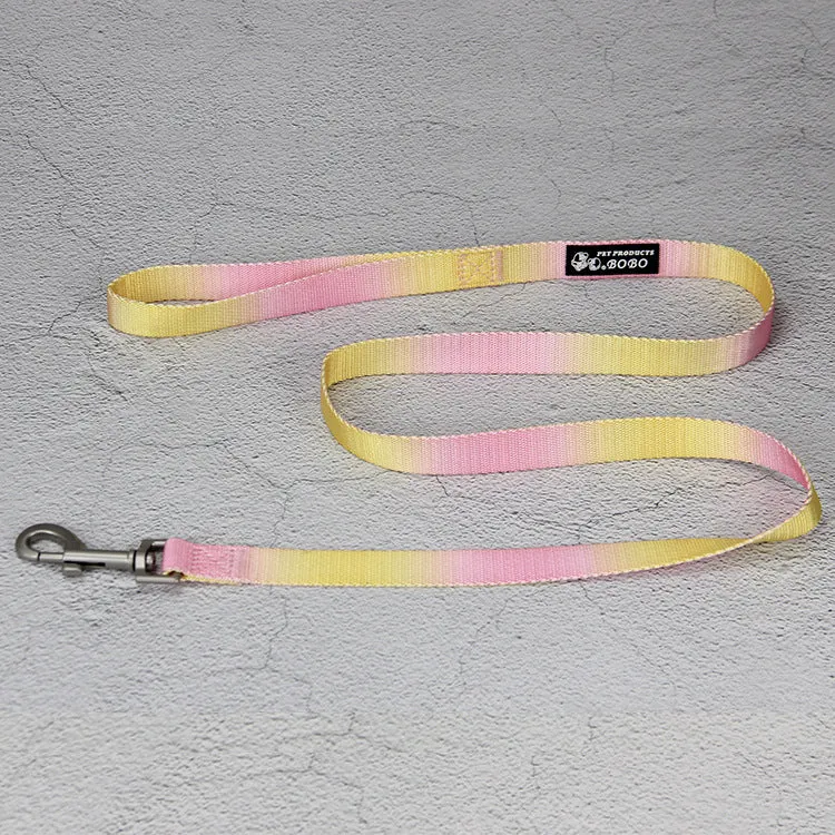 Nylon dog leash set showing gradient colour options including pink blue, yellow blue, pink yellow, and purple green combinations