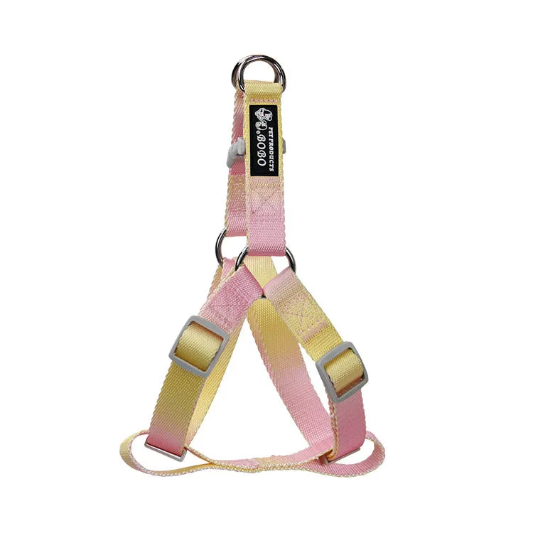 Nylon dog leash set showing gradient colour options including pink blue, yellow blue, pink yellow, and purple green combinations