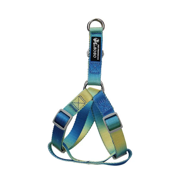 Nylon dog leash set showing gradient colour options including pink blue, yellow blue, pink yellow, and purple green combinations
