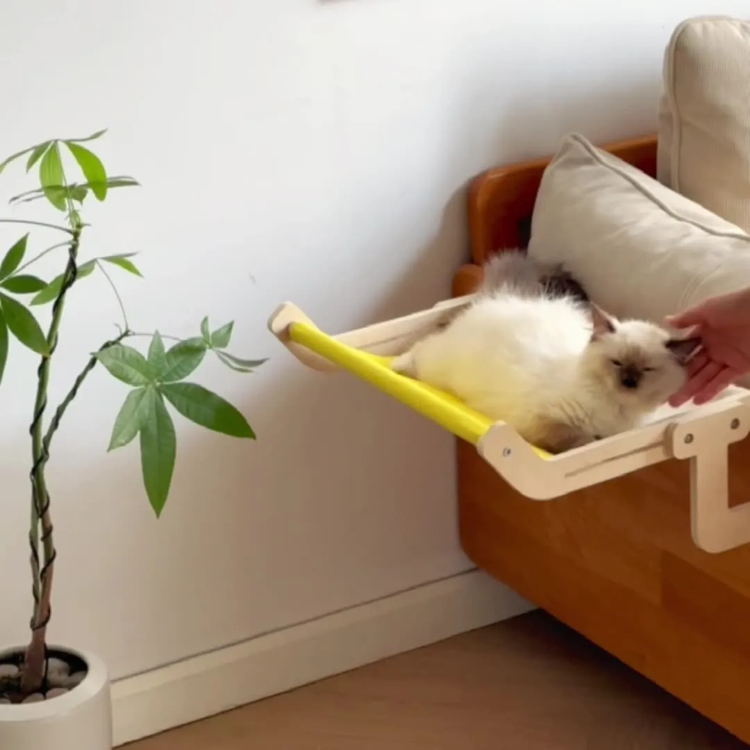 Soft hanging cat hammock bed on a windowsill, available in multiple colours