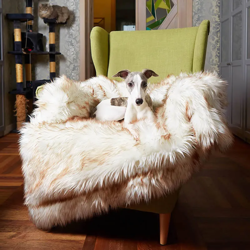 White with brown accents machine washable waterproof dog couch bed on a floor