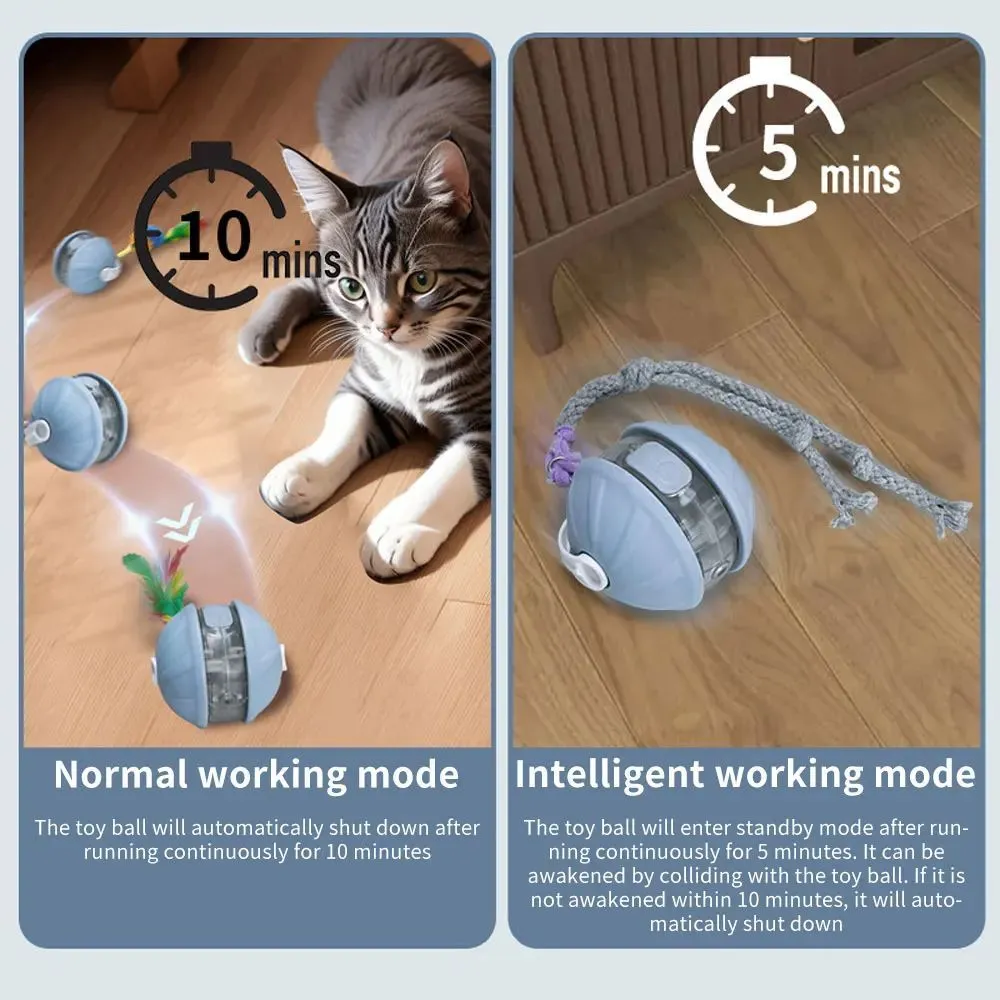 Upgrade cat interactive ball toy with faux tail, laser pointer, and voice reminder in colour options