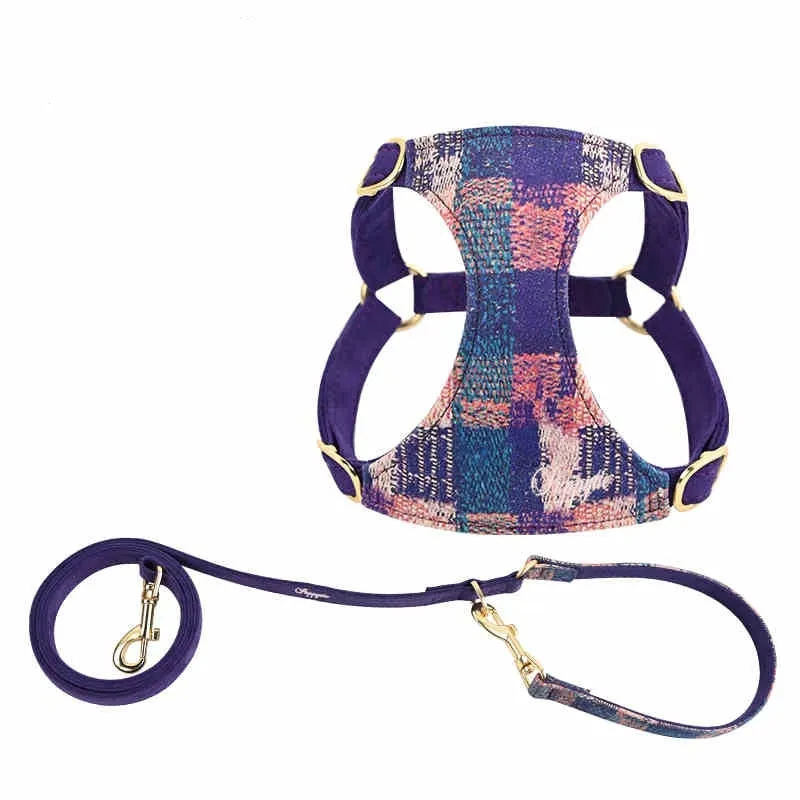 Dog hand holding rope vest walking harness in Dark Night Blue with traction rope on a small dog