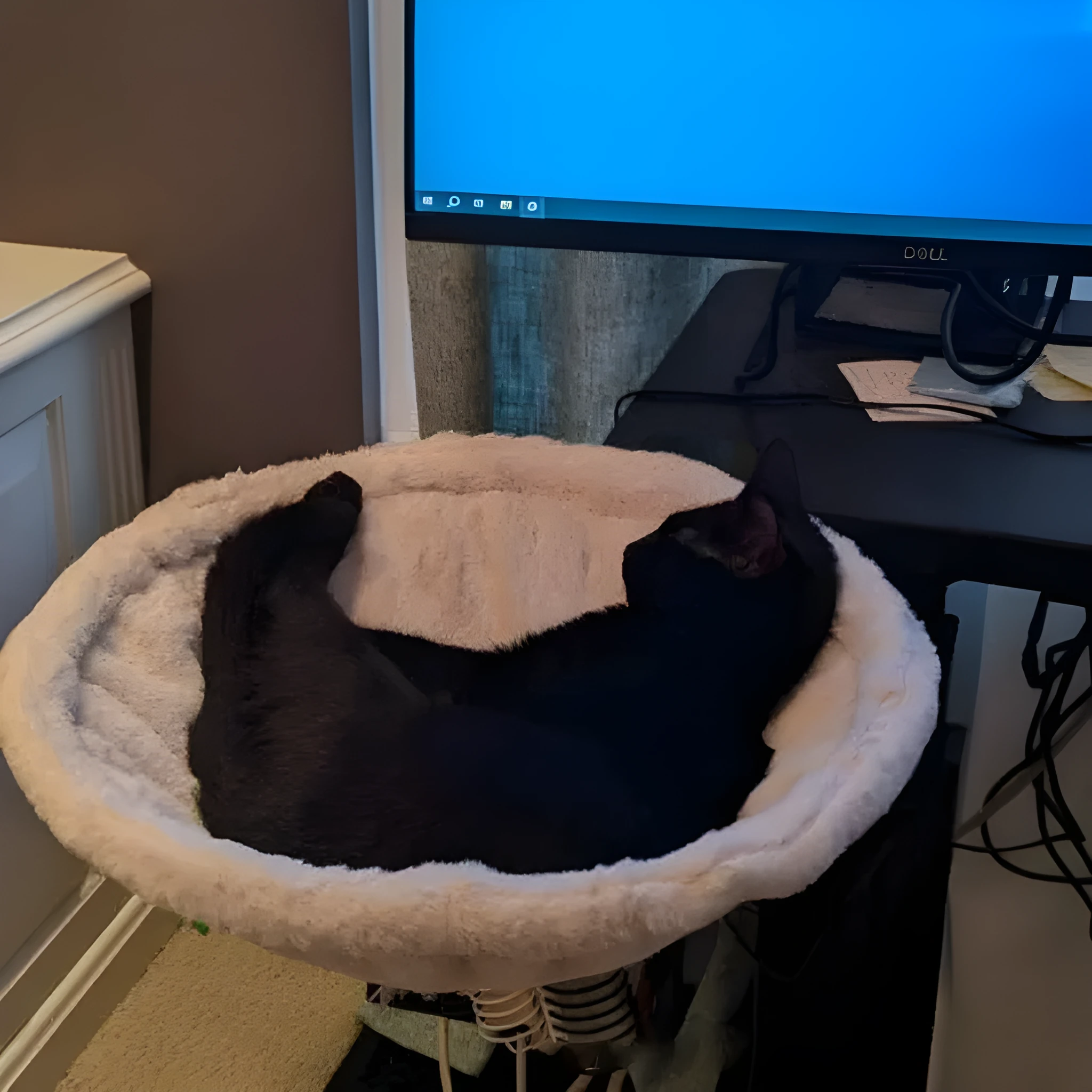 White plastic adjustable cat hammock bed with 42.5cm diameter for cage use