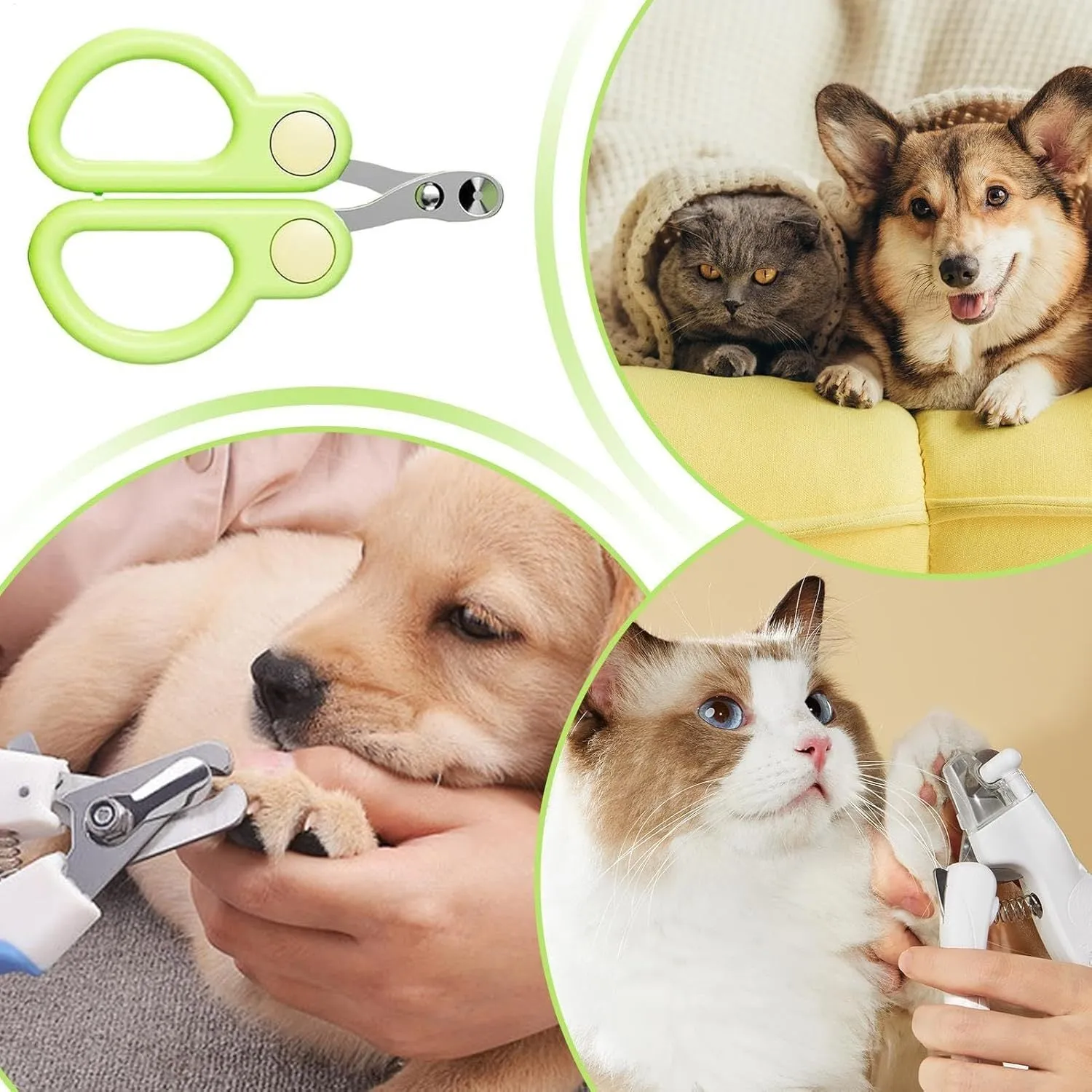 Pet nail clippers with round hole design, stainless steel blades, and ergonomic handles. Available in green or yellow.