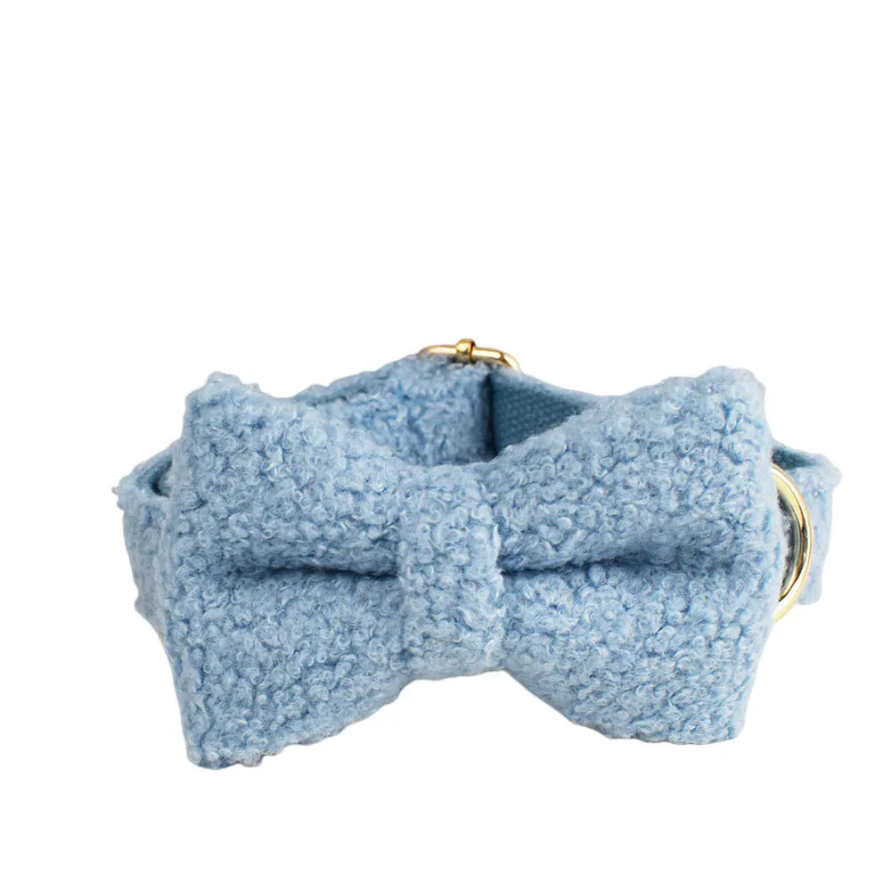 Blue teddy bear dog collar set with matching leash, bow, and vest on a pet