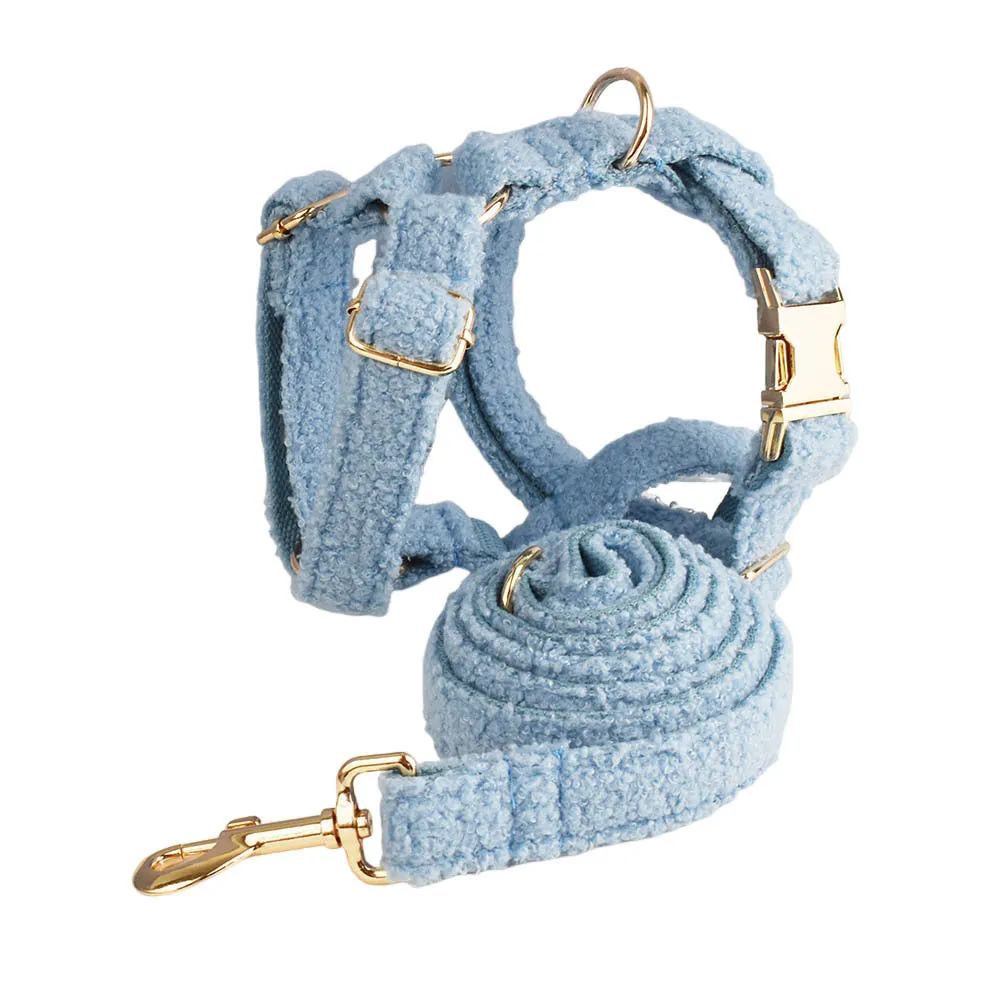 Blue teddy bear dog collar set with matching leash, bow, and vest on a pet