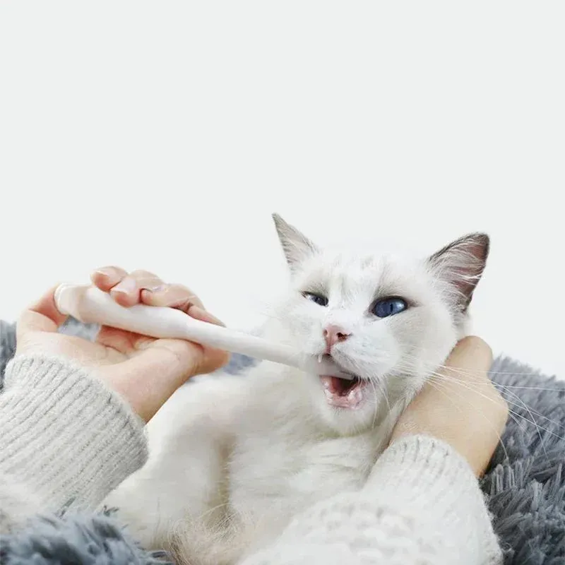 Blue pet medicine feeder push dispenser syringe tube for cats and dogs with liquid medication