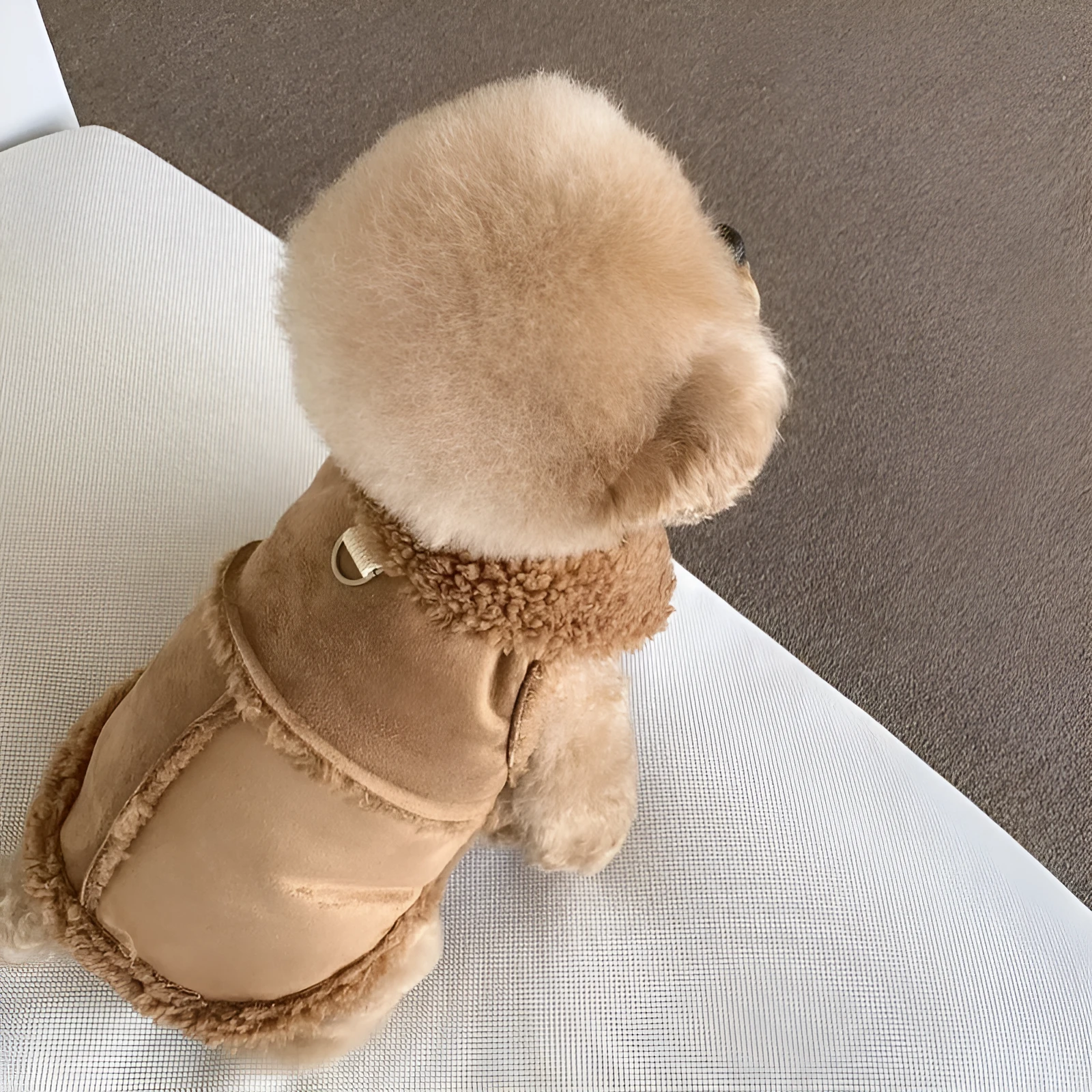 Pet autumn winter traction warm vest in brown, showing back length and slip-on design for small dogs