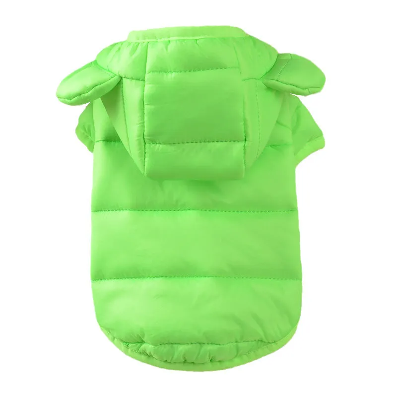 Small dog wearing a down cotton jacket in camouflage colour for outdoor walking