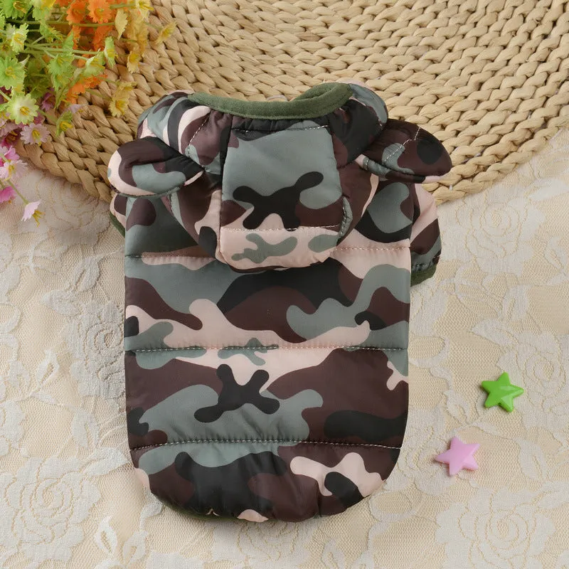 Small dog wearing a down cotton jacket in camouflage colour for outdoor walking