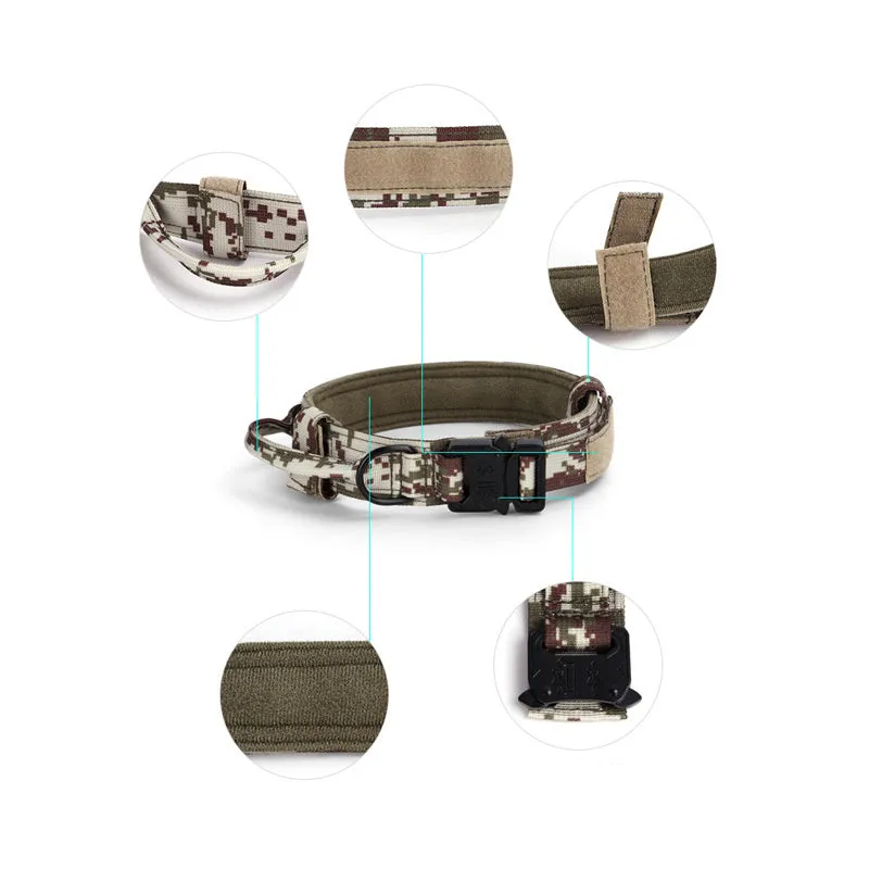 Adjustable military tactical dog collar in nylon webbing with metal buckle, 3.8cm wide, available in multiple colours and sizes
