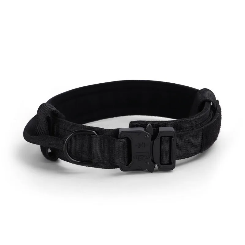 Adjustable military tactical dog collar in nylon webbing with metal buckle, 3.8cm wide, available in multiple colours and sizes