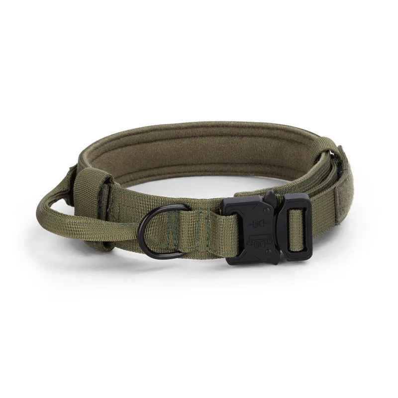 Adjustable military tactical dog collar in nylon webbing with metal buckle, 3.8cm wide, available in multiple colours and sizes