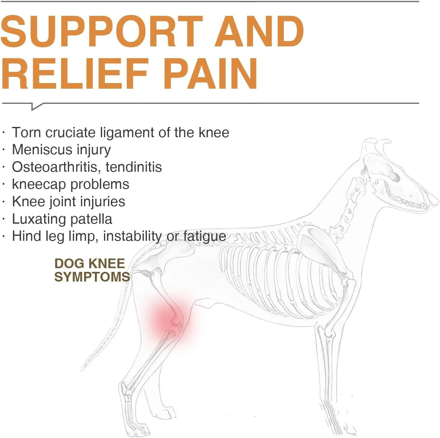 Adjustable polyester knee and hip support strap for joint pain relief, available in M L and XL sizes