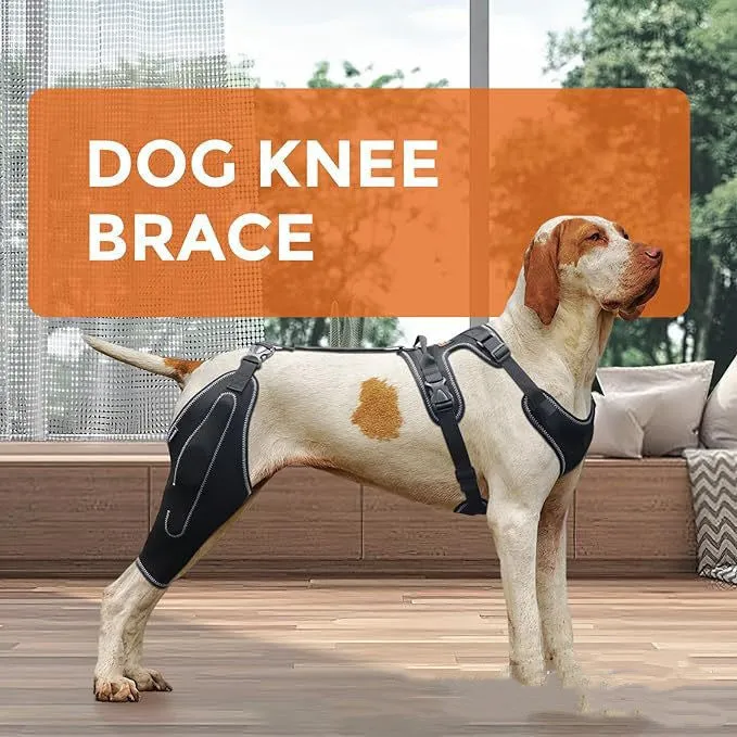 Adjustable polyester knee and hip support strap for joint pain relief, available in M L and XL sizes