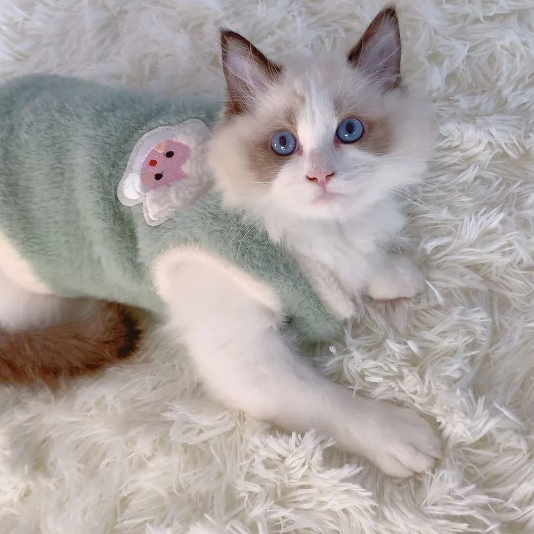 Winter pet warm plush acrylic knit sweater for dogs and cats, available in multiple colours and sizes XS to XL