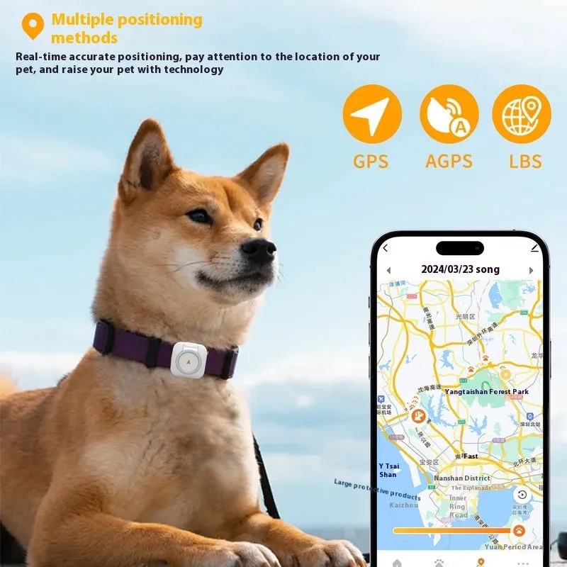 Pet GPS global locator health monitoring tracker ABS PC 40x15mm Black Orange