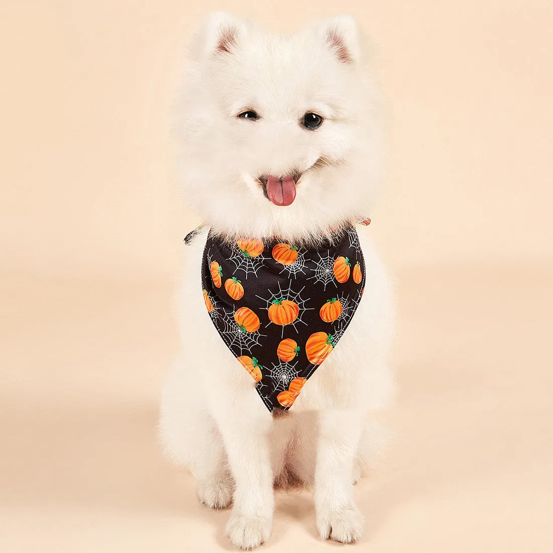 Halloween double-sided milk silk pet saliva towel with bat and spider web print
