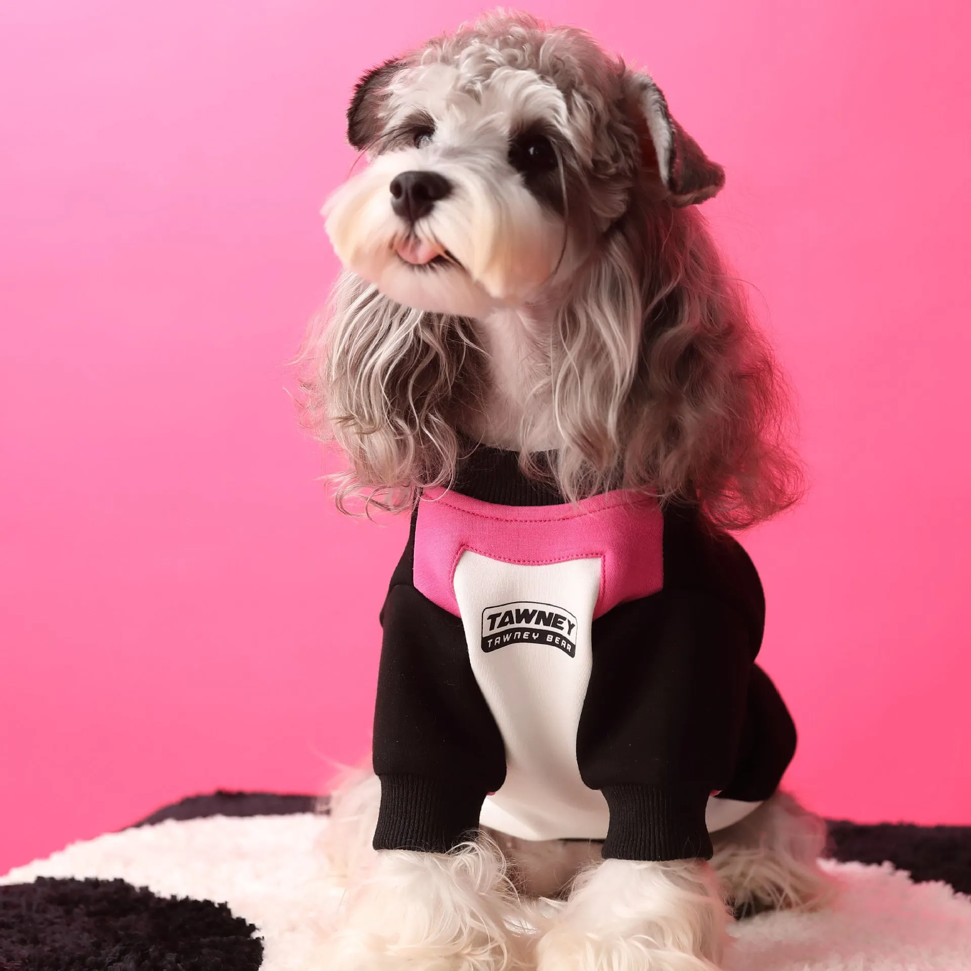 Cotton dog clothes stitching zipper pullover sweater in pink and blue sizes XS to XXL on a small dog
