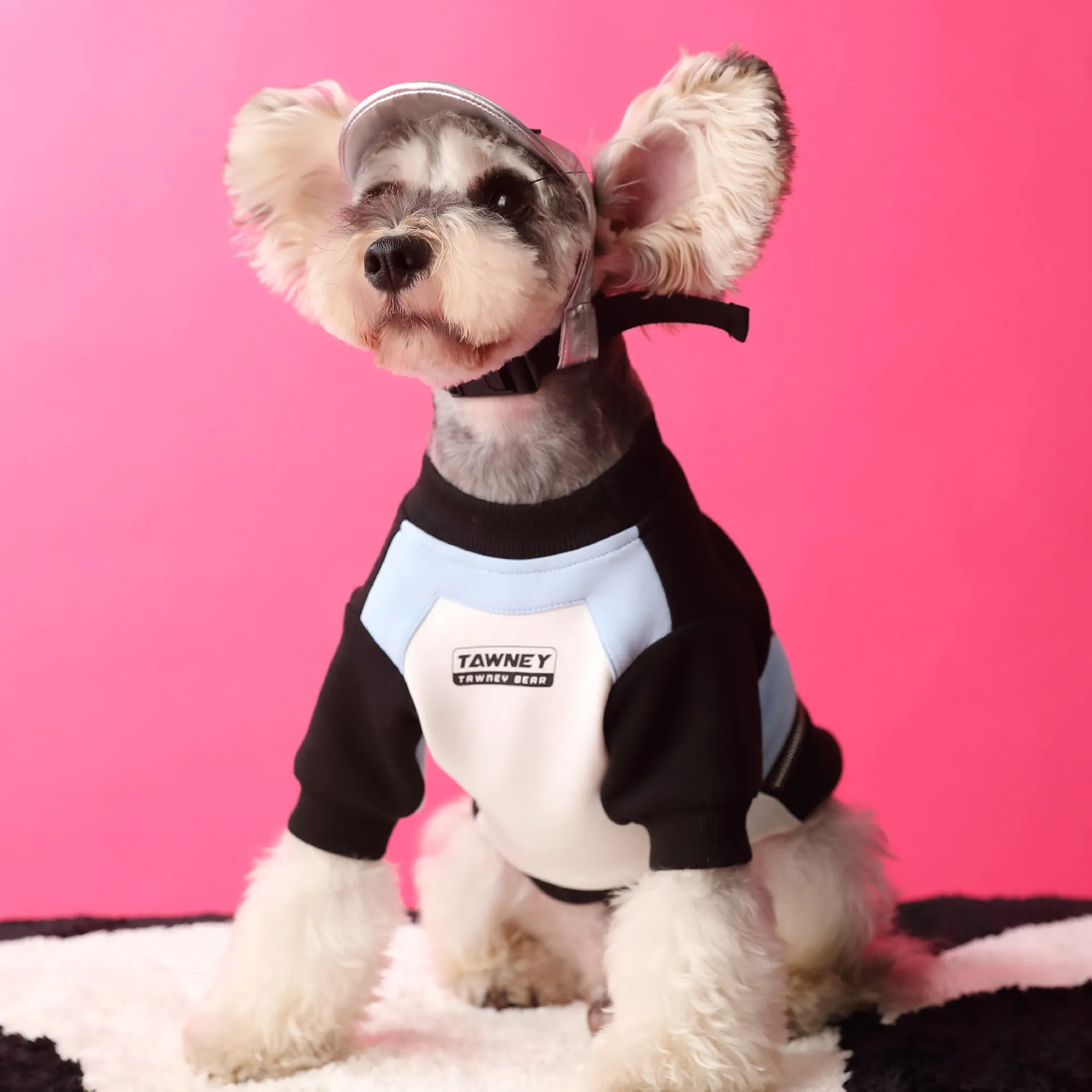 Cotton dog clothes stitching zipper pullover sweater in pink and blue sizes XS to XXL on a small dog