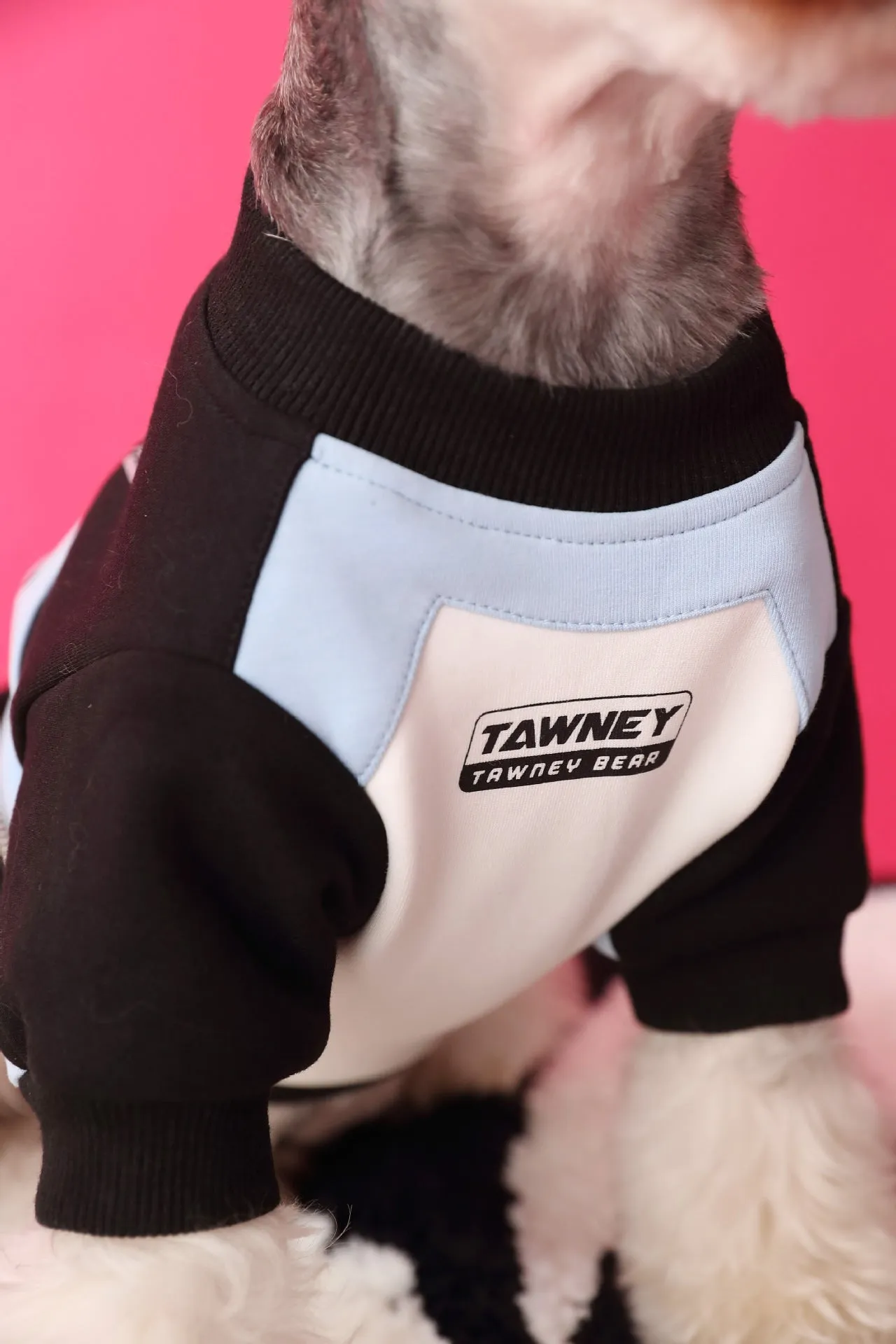 Cotton dog clothes stitching zipper pullover sweater in pink and blue sizes XS to XXL on a small dog