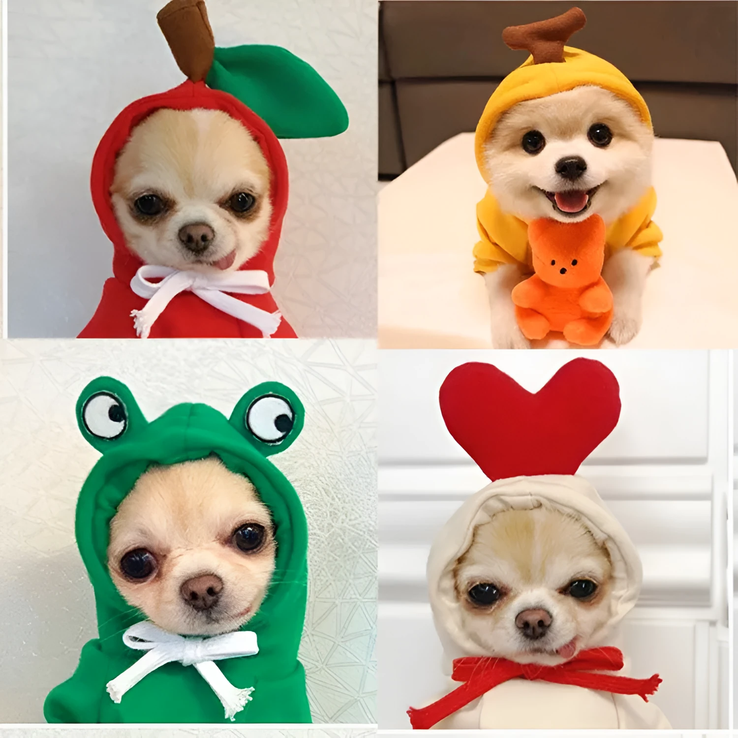 Fruit dog clothes two-legged hooded green fleece outfit for small dogs autumn winter pet sweater