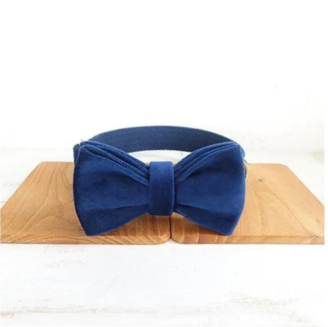 Blue velvet polyester dog collar with bow tie, in size large, for walking small and large pets