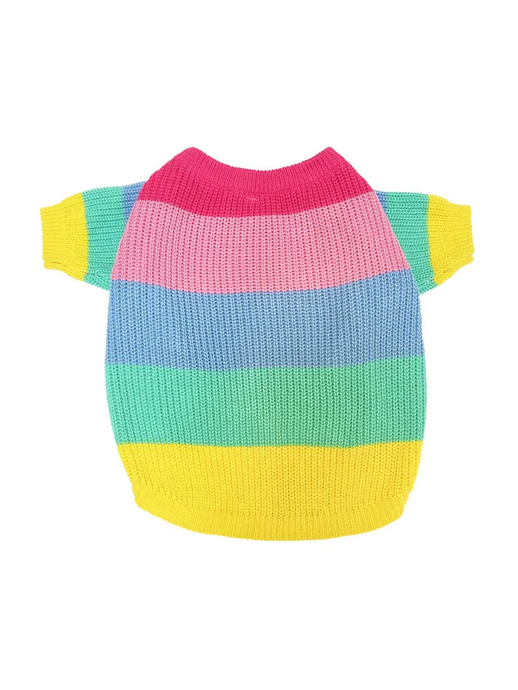 Rainbow wool dog sweater on a dog, showing knit texture and bright colour pattern