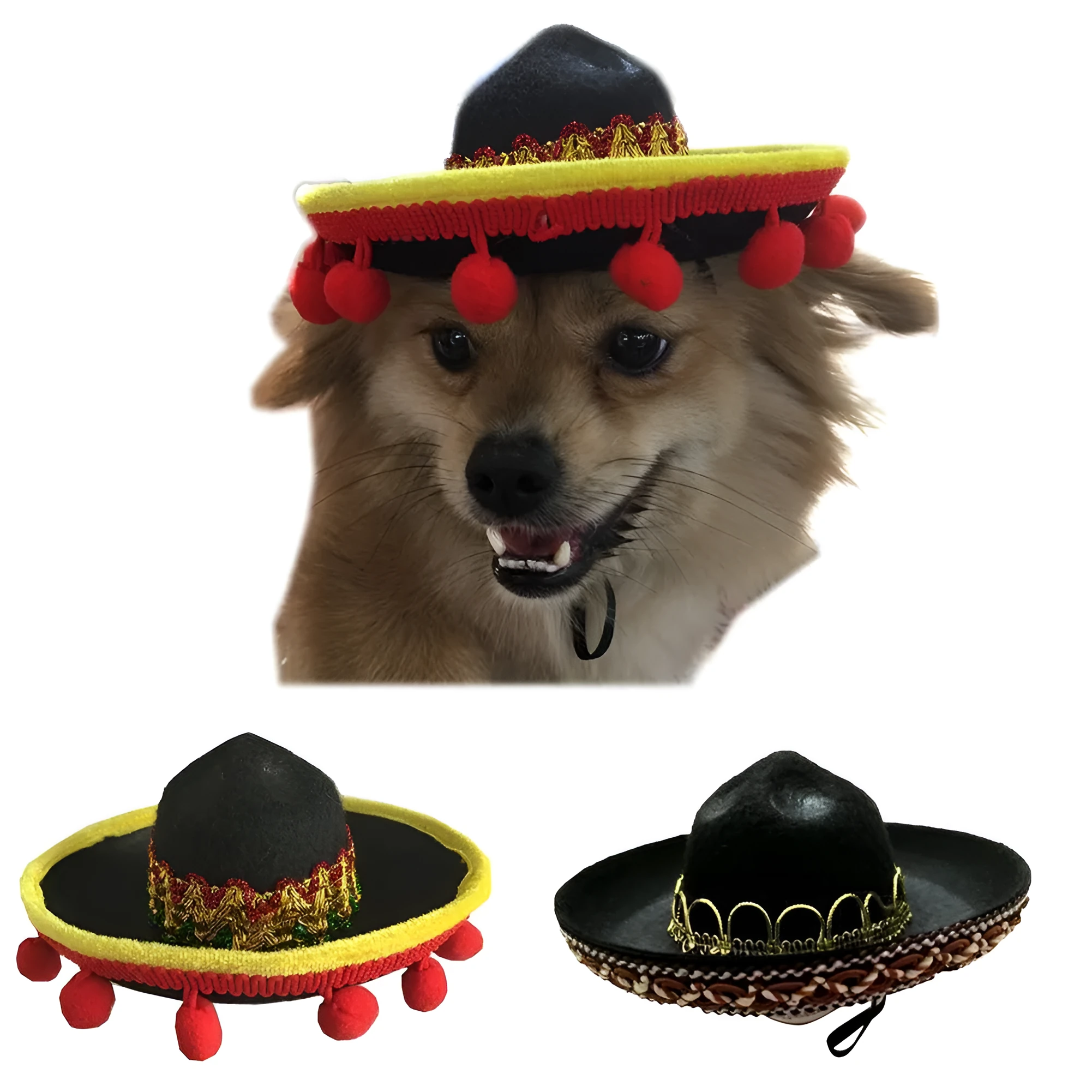 Mexican style cloth pet hat with brown lace 17 cm diameter on small dog