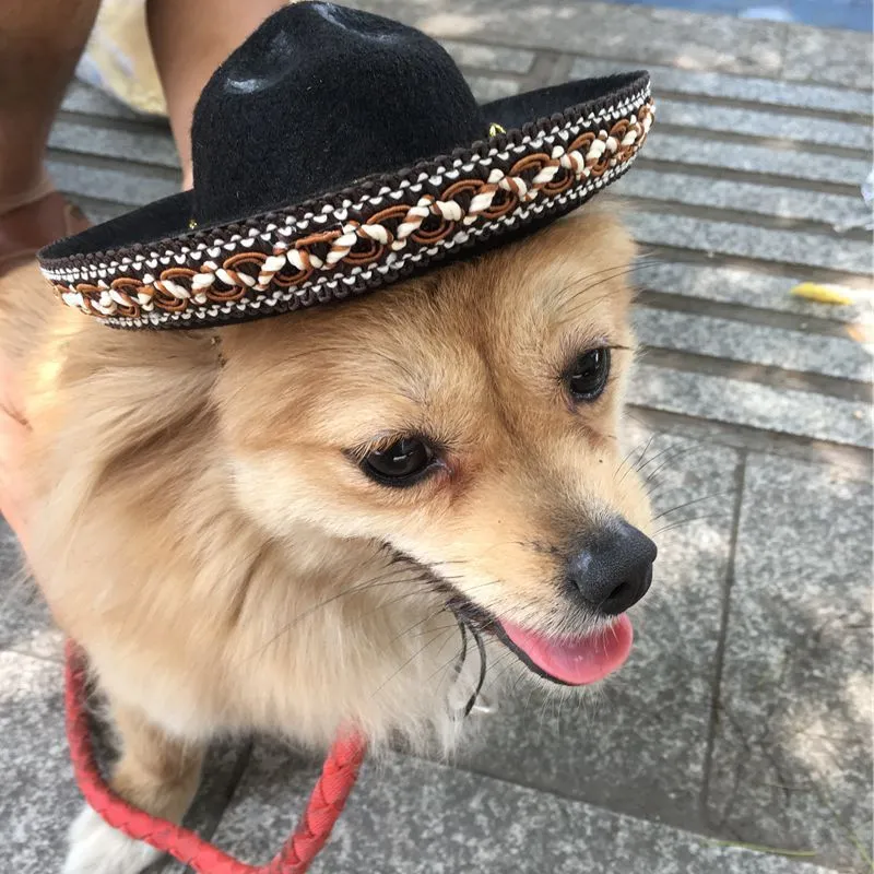 Mexican style cloth pet hat with brown lace 17 cm diameter on small dog