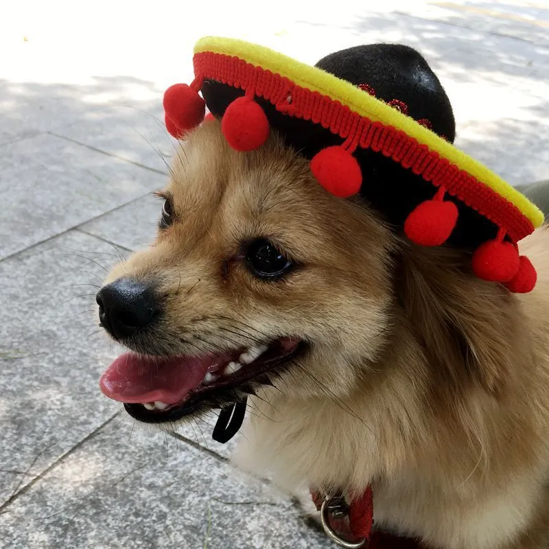 Mexican style cloth pet hat with brown lace 17 cm diameter on small dog