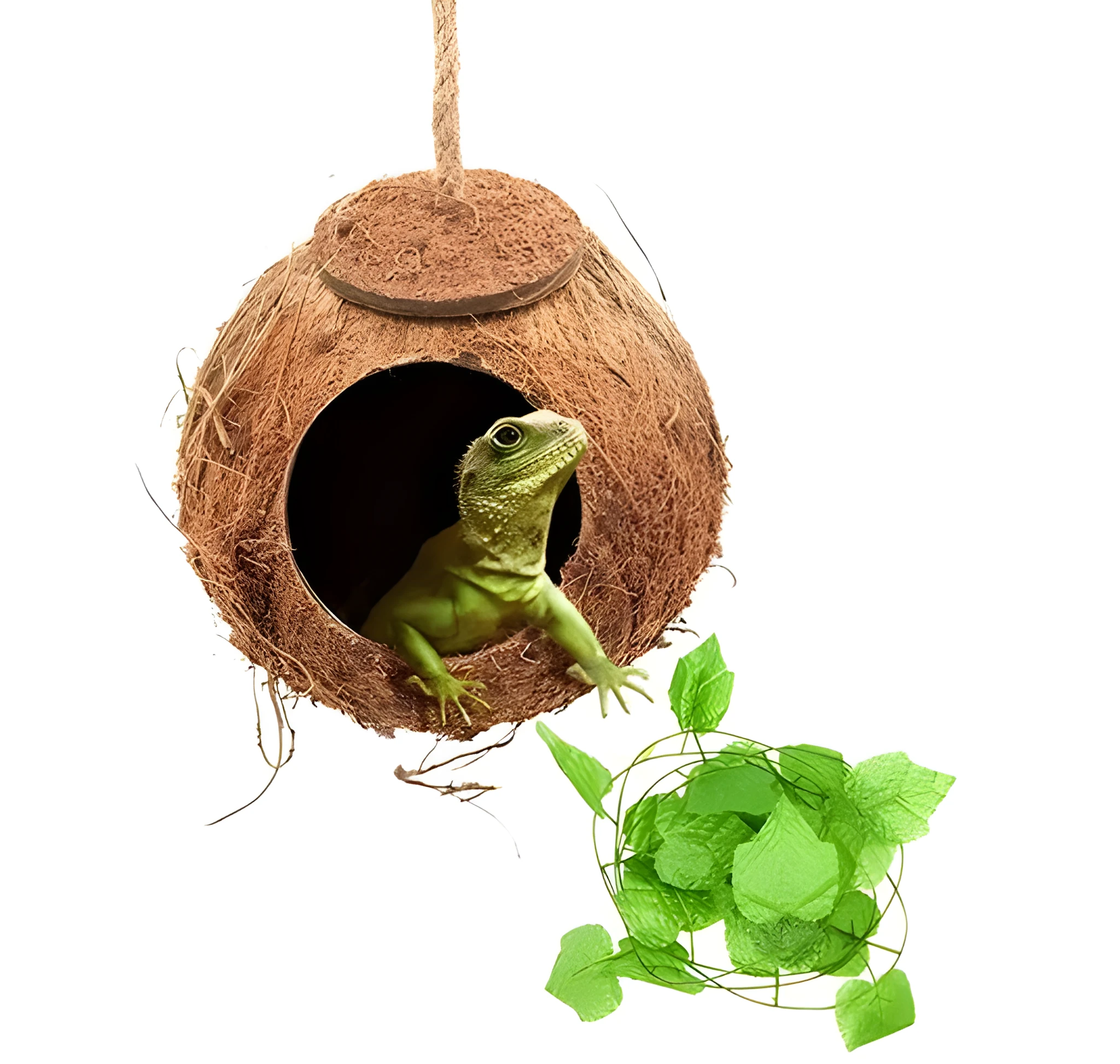 Reptile swing set with brown coconut shell nest and artificial vine for tree lizards