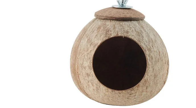 Reptile swing set with brown coconut shell nest and artificial vine for tree lizards