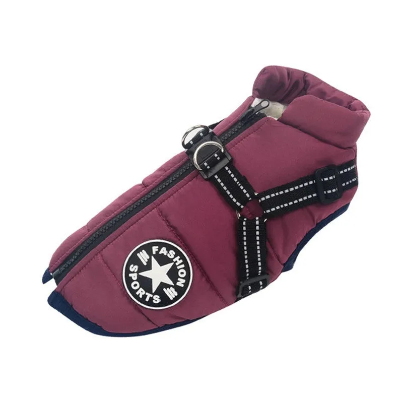 Large pet dog jacket in waterproof fabric with reflective strap and resin zipper front view