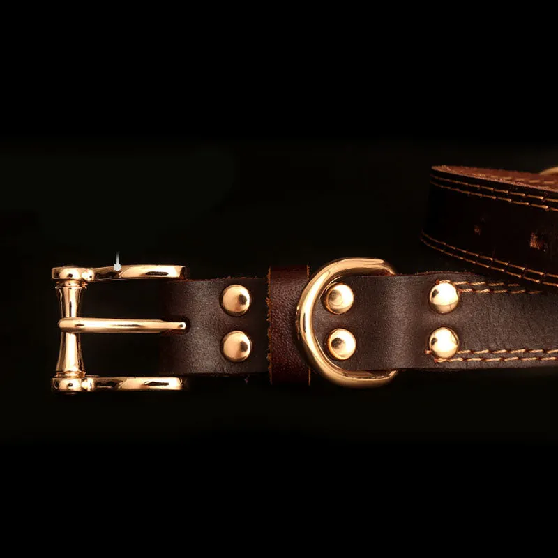 Genuine leather dog collar with engraved nameplate in brown on a wooden background