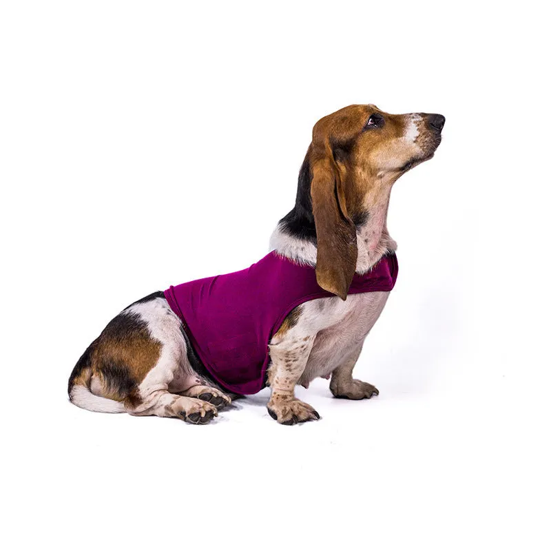 Anxiety jacket vest for dogs and cats in dark grey, summer calming pet clothes with adjustable fit
