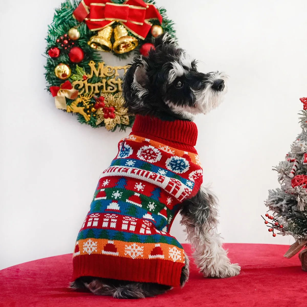 Pet dog wearing a red and green Christmas turtleneck wool sweater, side view