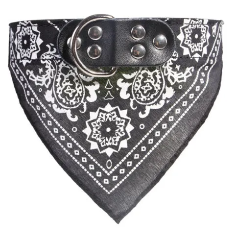 Pet lettering dog collar in microfiber leather, medium size, black colour, with adjustable buckle