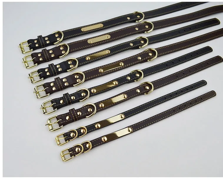 Pet lettering dog collar in microfiber leather, medium size, black colour, with adjustable buckle