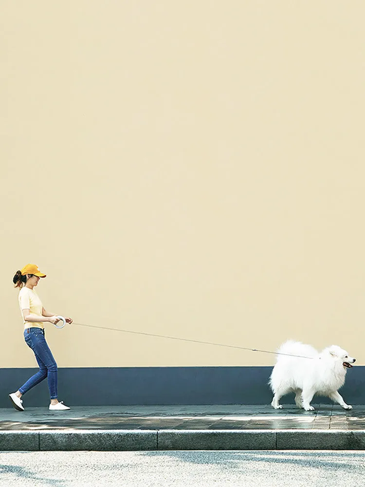 Meng Wangxing UFO retractable dog leash with nylon ribbon flashlight and anti-slip handle for small medium dogs