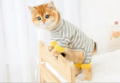 Puppet-style four-legged cat clothes for British Shorthair hairless cats, available in stripes and solid colours, sizes S-2XL