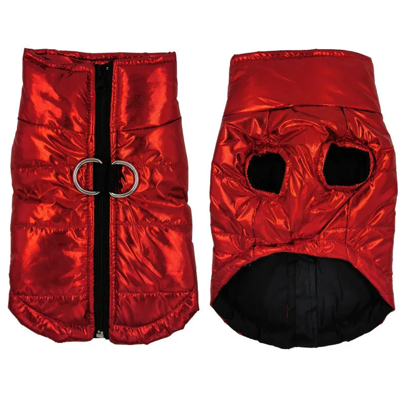 Bright blue cotton waterproof dog vest with snap fasteners, front view, for medium-sized dogs