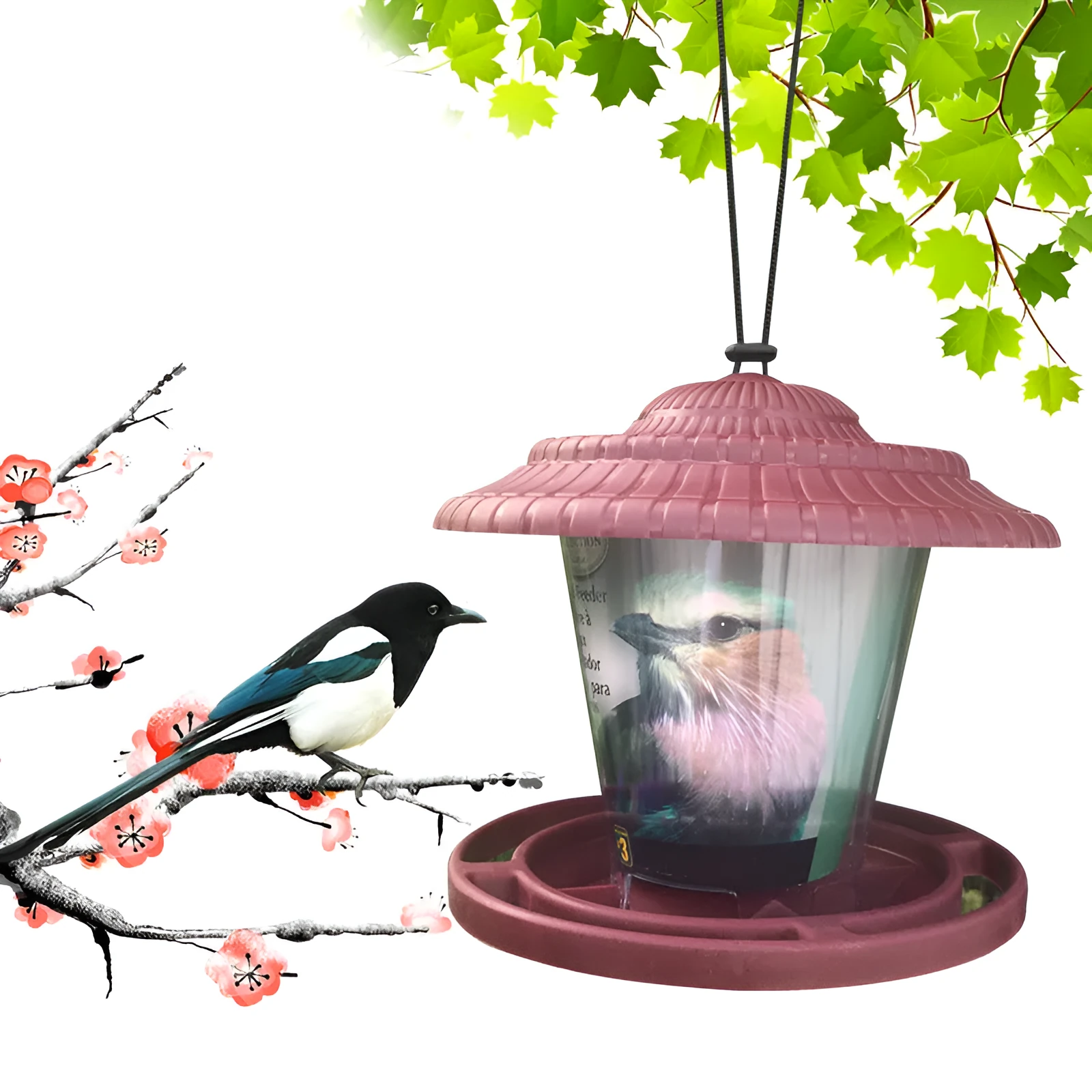 Plastic transparent hanging bird feeder with green colour option for outdoor garden use