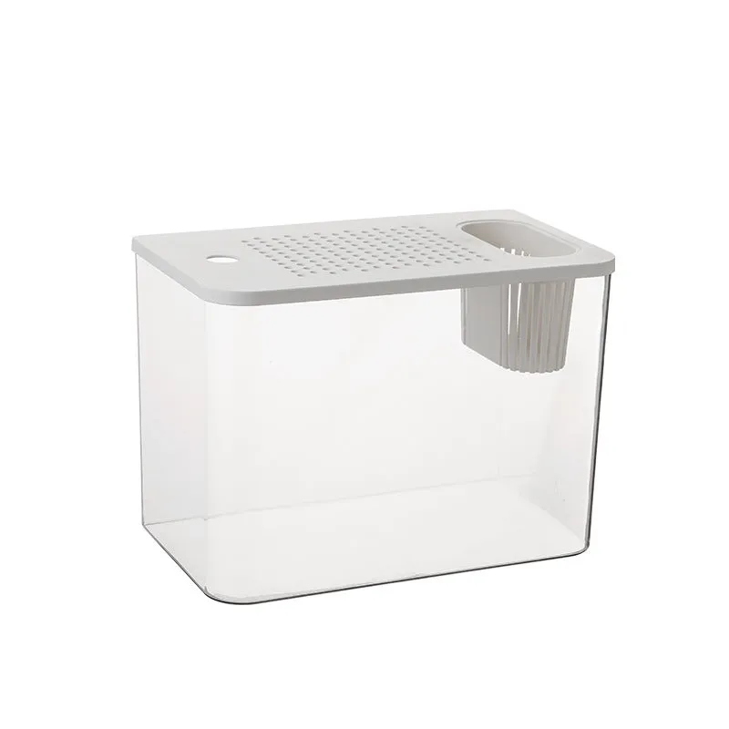 Compact black plastic betta fish tank with a clear cover on a wooden desk.